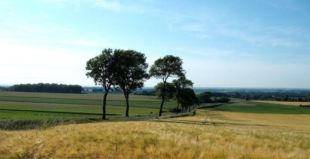 Licques Camping Pommiers Des Trois Pays מראה חיצוני תמונה